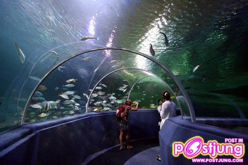 Chiangmai Zoo Aquarium