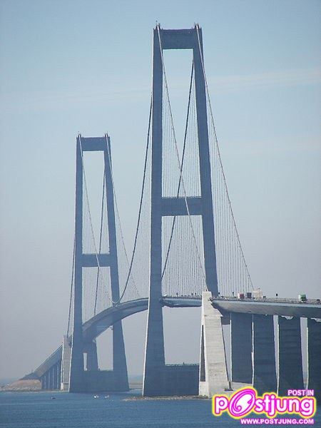 Great Belt East Bridge/เดนมาร์ก/254m.