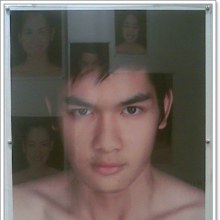 สิงโต THE STAR อ้วนขึ้นหรือล่ำขึ้นหรือเป็นเพราะกำลังโตเป็นหนุ่ม