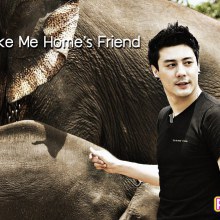 โดม.. กิจกรรมพาช้างกลับบ้าน