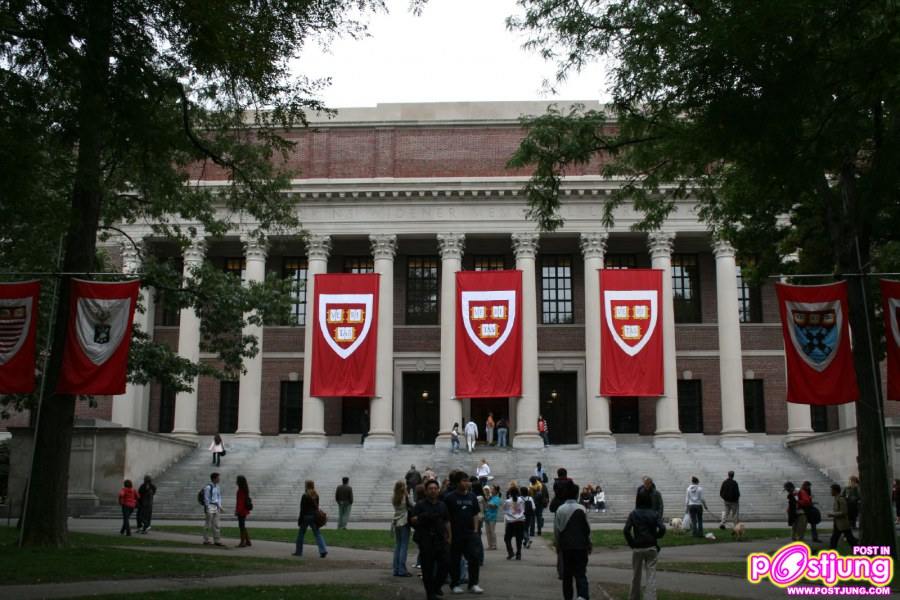 HARVARD University