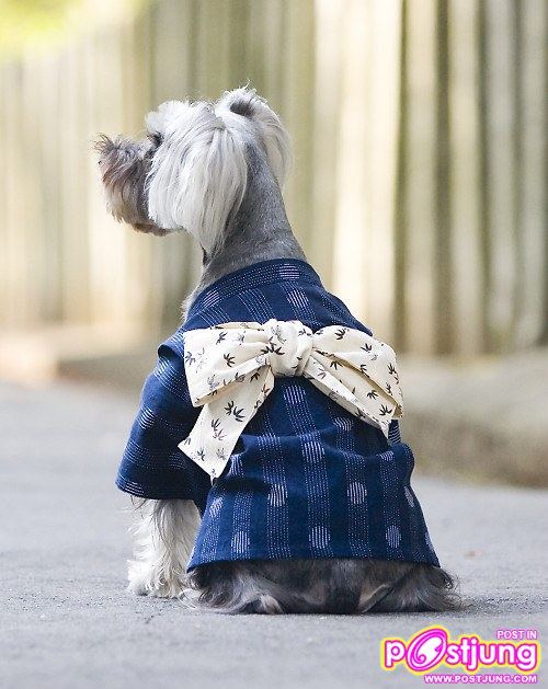 น้องหมาก็เอากับเค้าด้วย