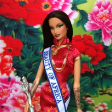 The Special Awards Miss Beauty Doll 2010