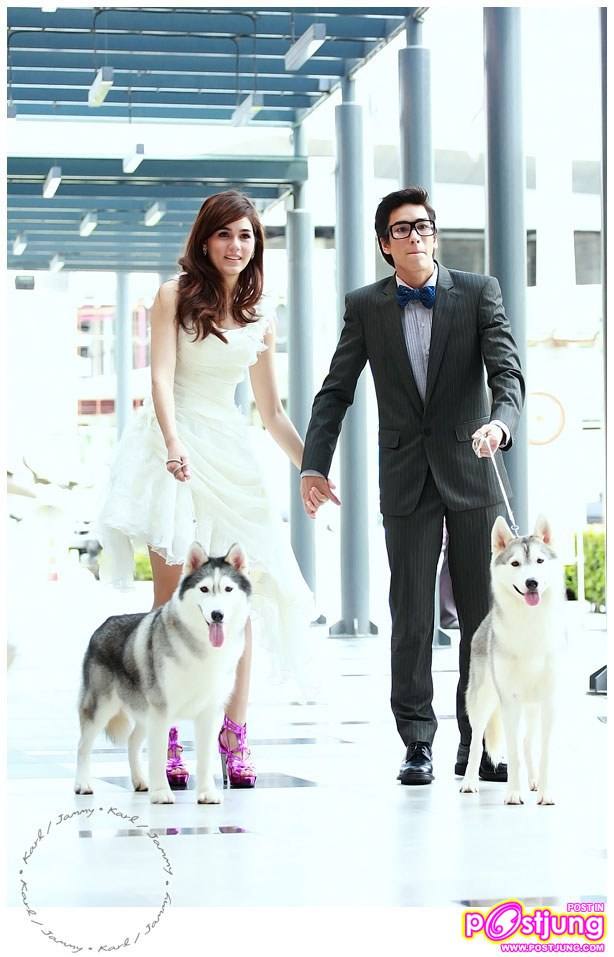 ถ่ายแบบคู่