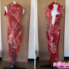 Was Lady Gaga's VMA Meat Dress Real