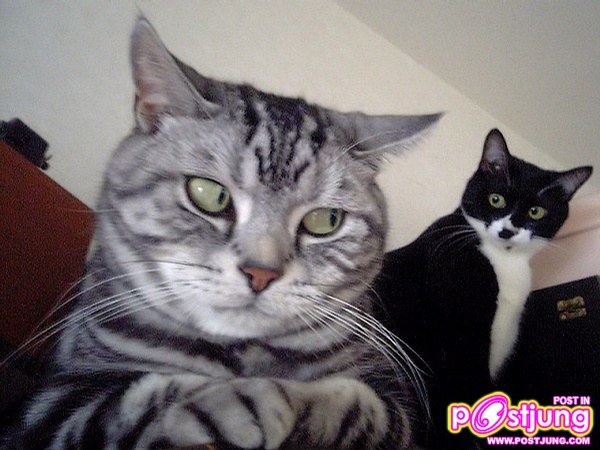 หนูก้อชื่อนามิเอะค่ะ..^__^