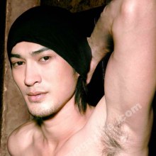 หนุ่มขนดก (เฉพาะที่)