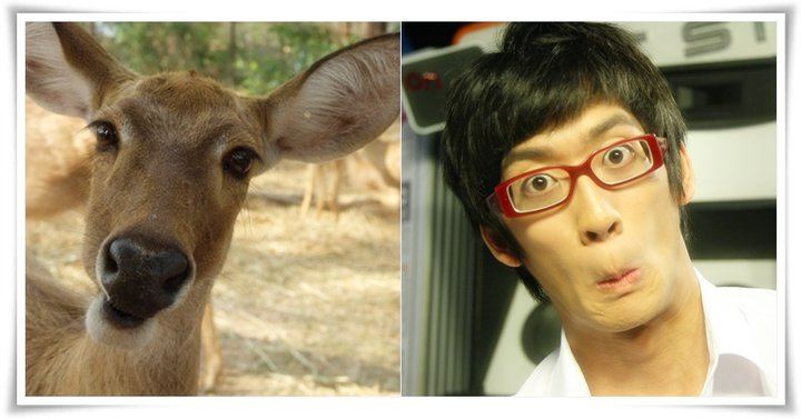 บอมถอดแว่น กับ ละมั่งใส่แว่น