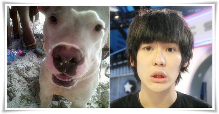 ใครทำหน้าสงสัยได้น่ารักกว่ากัน?