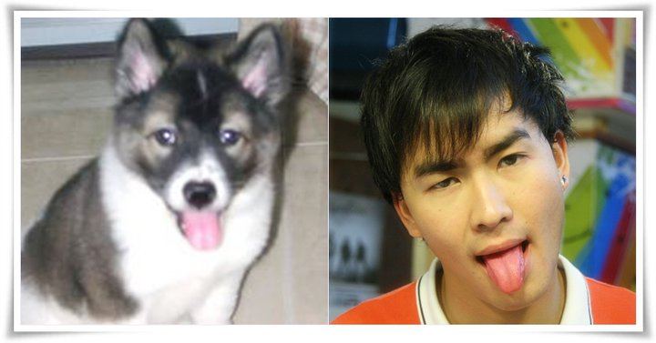 ขอผ้าเช็ดน้ำลายหน่อยครับ