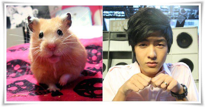 ไกด์พยายามเหมือนหนูแต่ยังไม่ตื่น