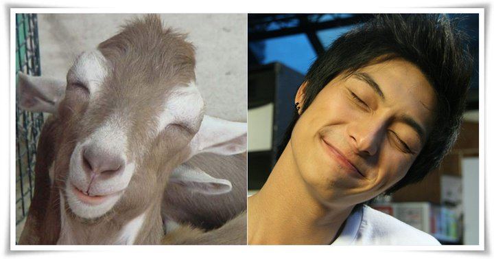 แยกไม่ออกเลยใช่ไหมครับ