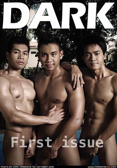 เปิดตัวน้องใหม่..DARK vol. 1 no. 1 October 2010