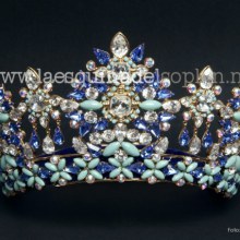 The New Crown for Miss Venezuela World 2011 !!