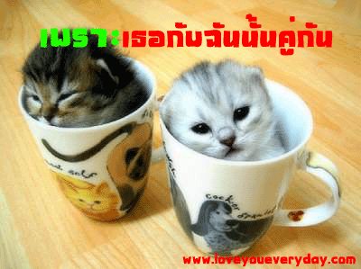 คยเราเกิดมาก็ต้องมีคู่กันทุกคน