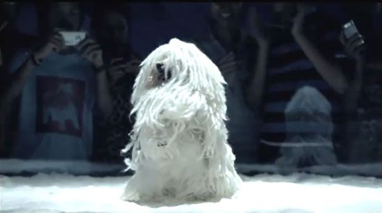 ผมพระเอกนะ  ไม่ใช่พี่โอ้