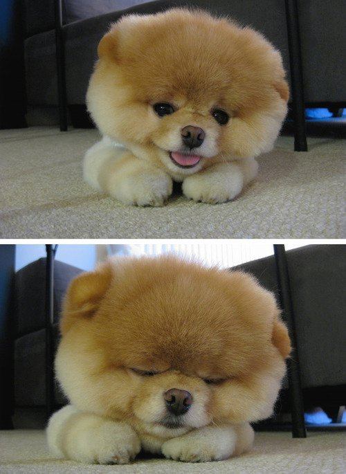 Chan Than San เปิดตัวเพื่อนใหม่..น่ารักมากมาย