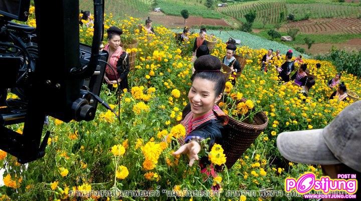 บี้ เดอะสตาร์ ในภาพยนตร์เพลงเฉลิมพระเกียรติ แผ่นดินของเรา