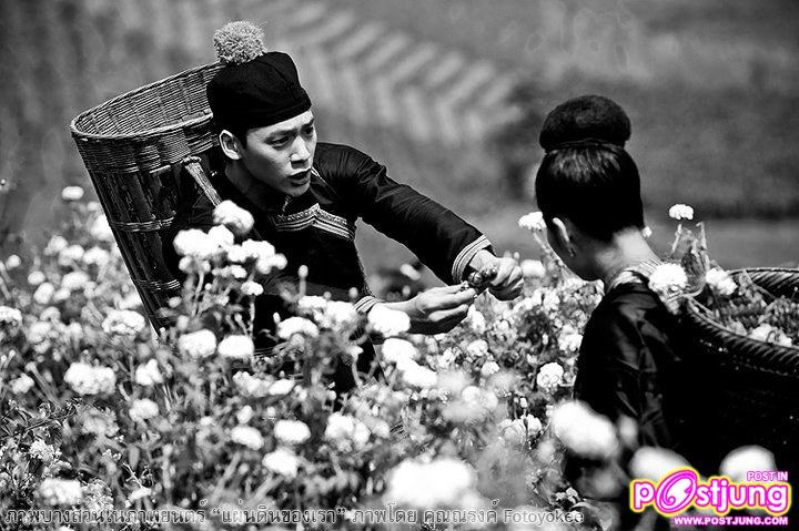 บี้ เดอะสตาร์ ในภาพยนตร์เพลงเฉลิมพระเกียรติ แผ่นดินของเรา