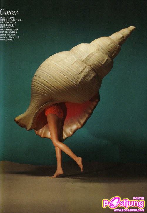 ราศีกรกฏ Cancer ปู