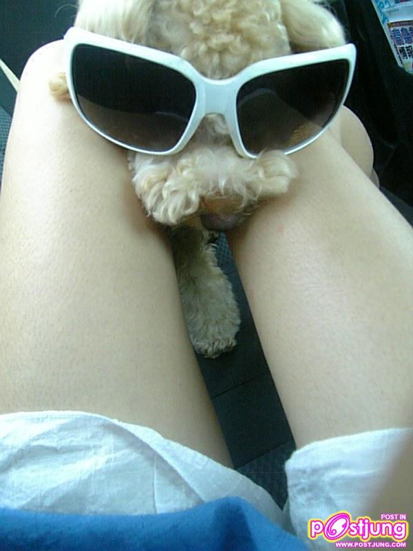 เคธี่ เน็ตไอดอลใต้หวัน