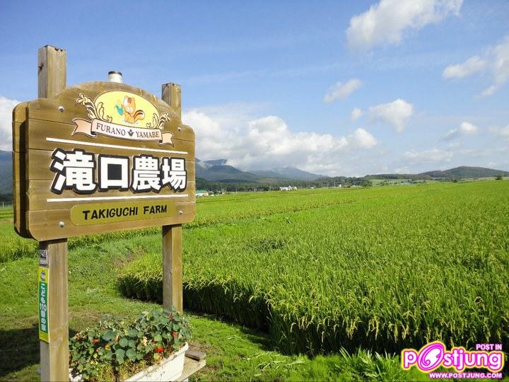 ต่าย ชุติมา @Hokkaido