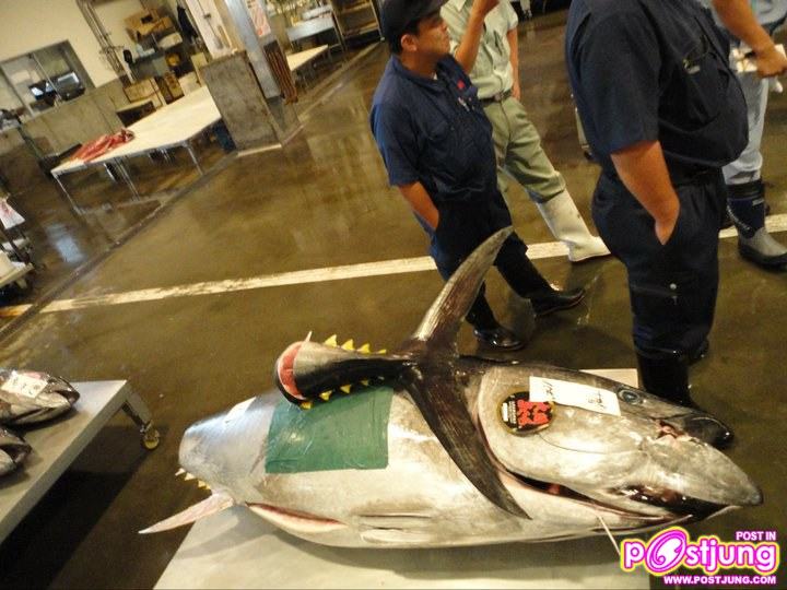 ต่าย ชุติมา @Hokkaido