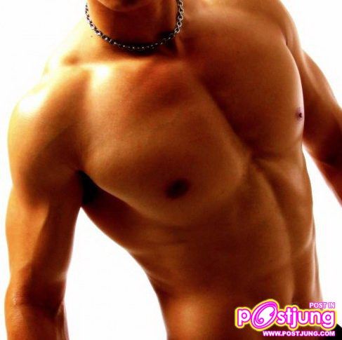 ซิกแพค...........เกย์หล่อๆ