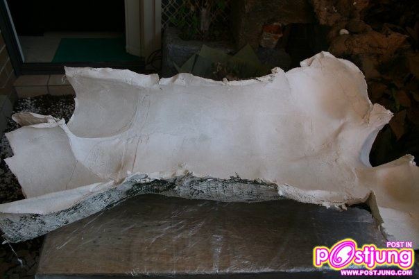 ขั้นตอนการทำโครงหุ่นสำหรับโชว์ underwear