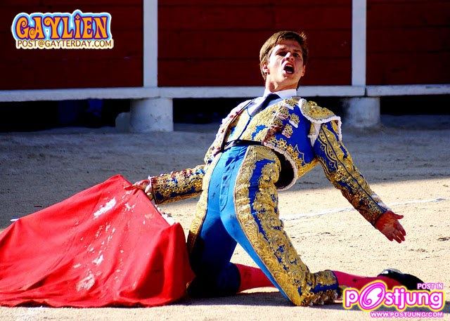 กระทิงดุ มาธาดอร์..ตุง