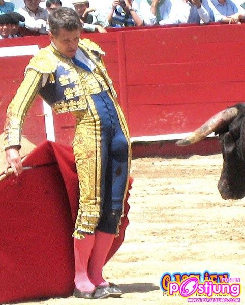 กระทิงดุ มาธาดอร์..ตุง