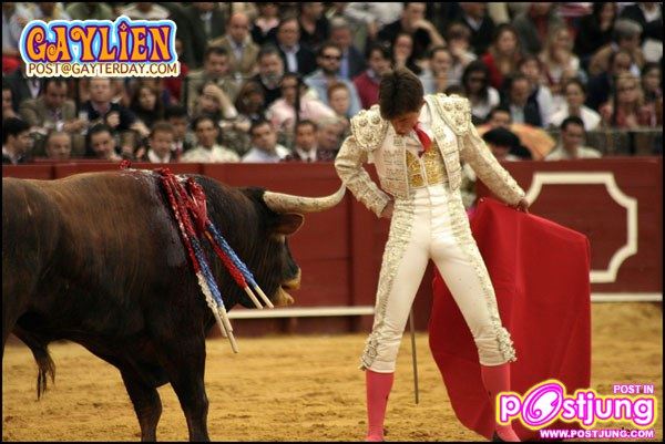 กระทิงดุ มาธาดอร์..ตุง