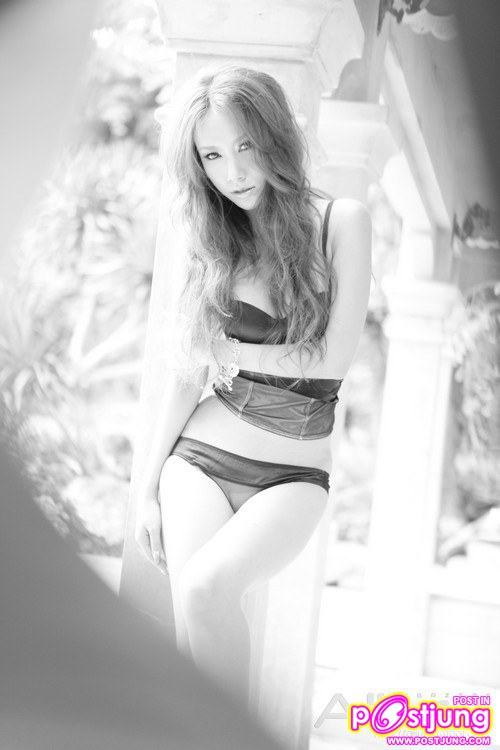 ใครเหมือนมากที่สุด