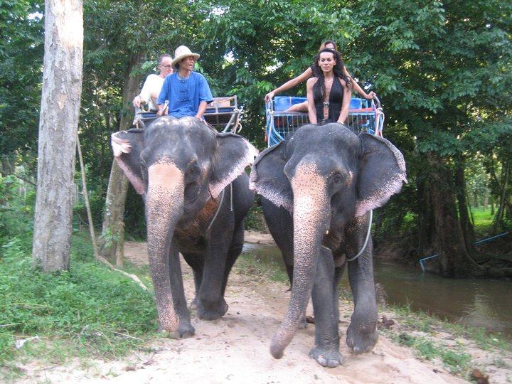 นางงามที่ชื่อ Stella Rocha จากฝรั่งเศษเธอได้รับตำแหน่งอะไรเหรอ