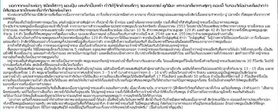 [คนหล่อขอทำดีปี3] ปฏิบัติการตามหาฝูงพะยูนของณเดชน์