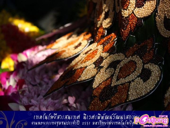 อาหารนก เราเรามั่งนั่งแยกสีและเรียงเม็ด