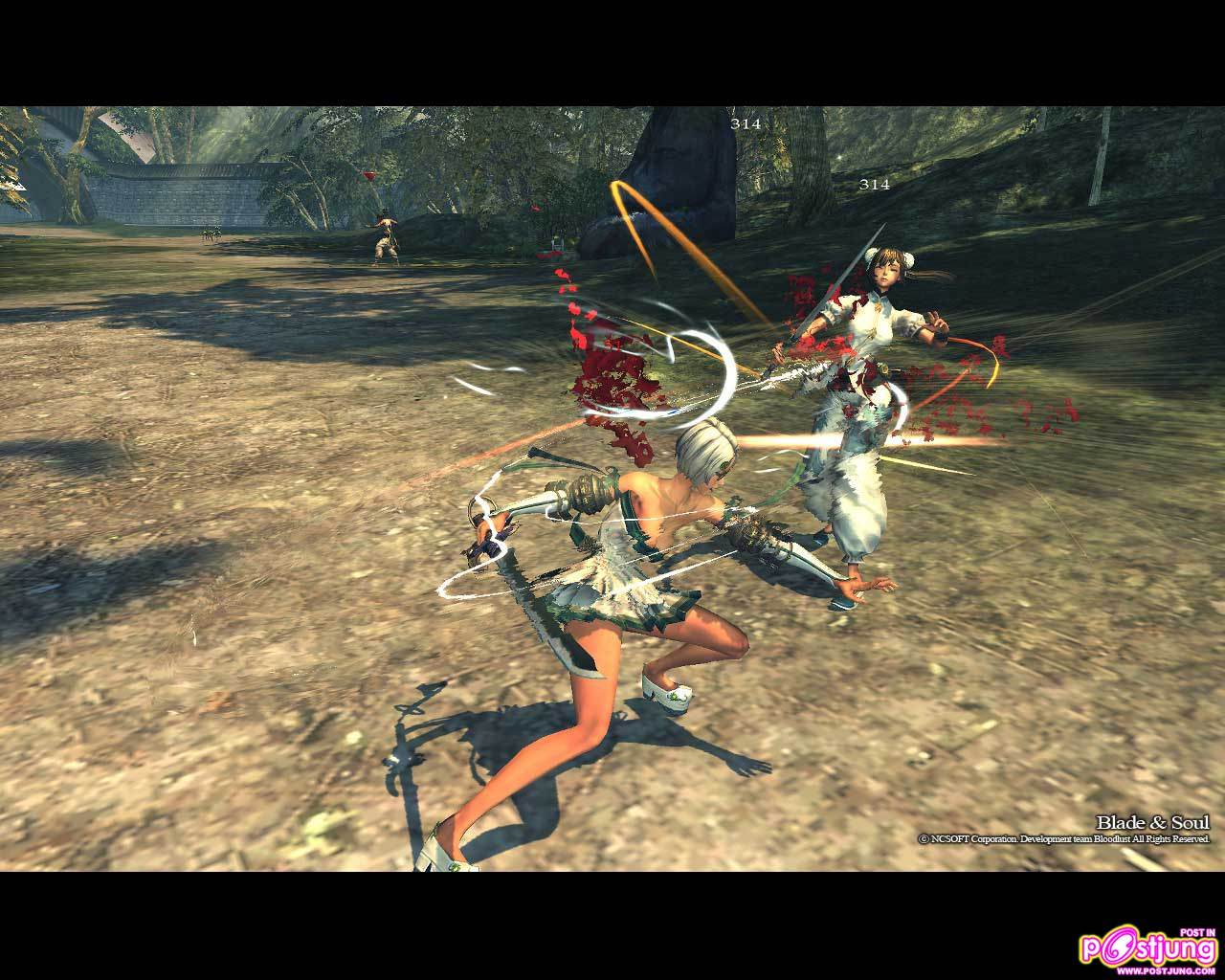 Blade & Soul  Online