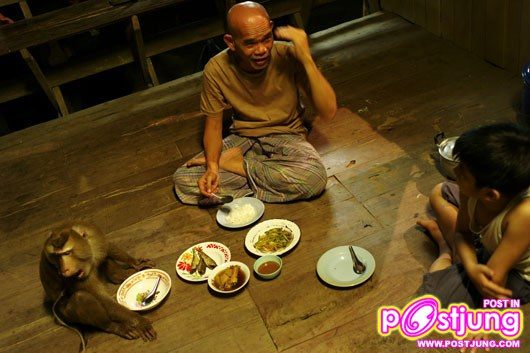 กะปิ หลิงจ๋อ ไม่หลอกจ้าว