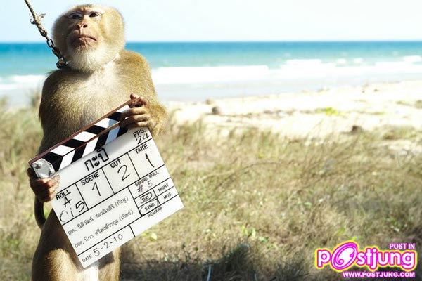 กะปิ หลิงจ๋อ ไม่หลอกจ้าว