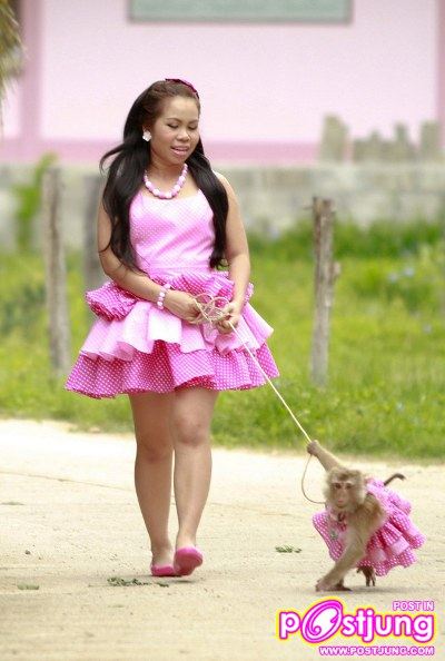 กะปิ หลิงจ๋อ ไม่หลอกจ้าว