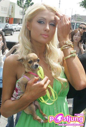 ปารีส ฮิลตัน