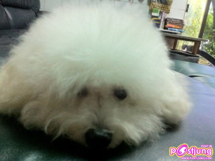 Pic. นาวิน ต้าร์ @facebook