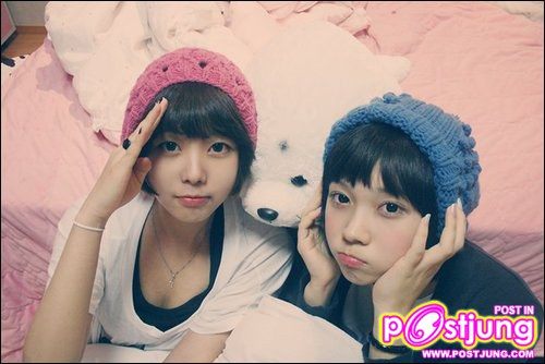 เนตไอดอลอีกแล้วจ๊