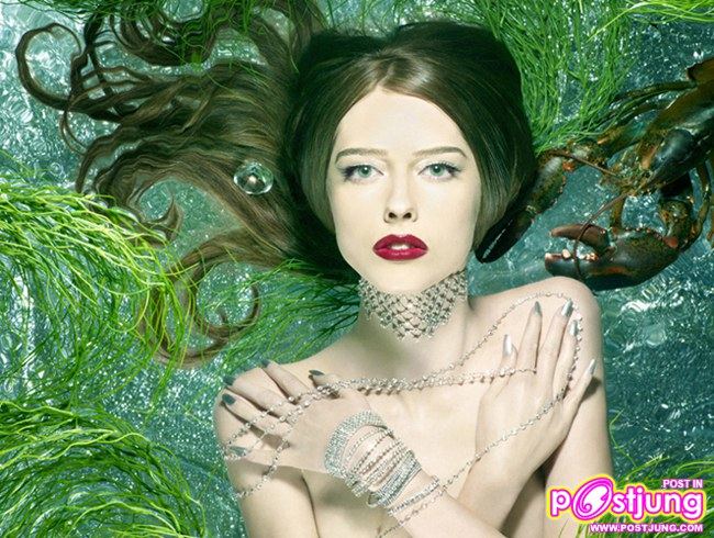 Aerica Next Top Model ซี่ซัน 15 - The winner is "Ann"