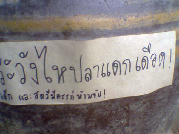 รวมเเบบเจ็บๆๆๆ