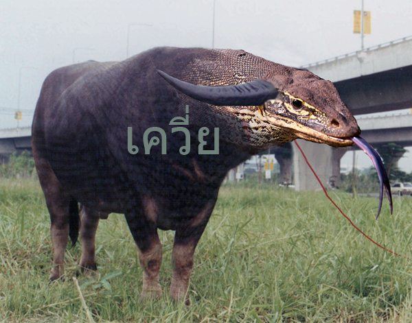 รวมเเบบเจ็บๆๆๆ