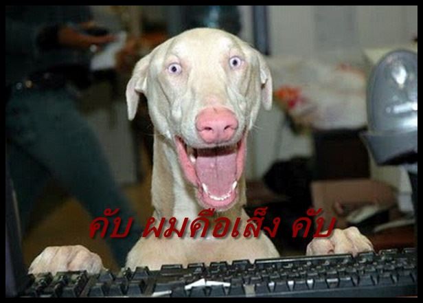 รวมเเบบเจ็บๆๆๆ