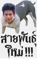 รวมเเบบเจ็บๆๆๆ