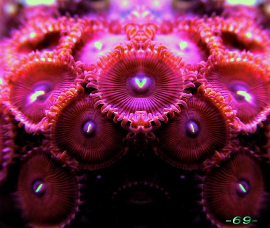 โลกใต้ทะเลไทย