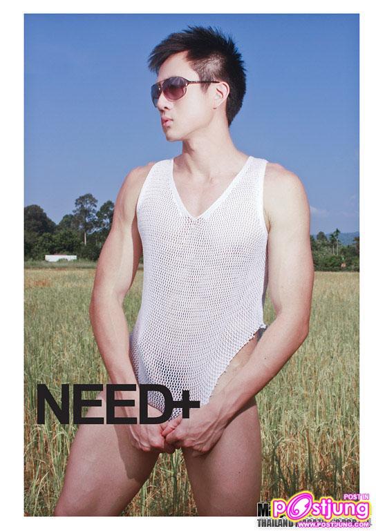 Need+ vol. 1 no. 41 December 2010